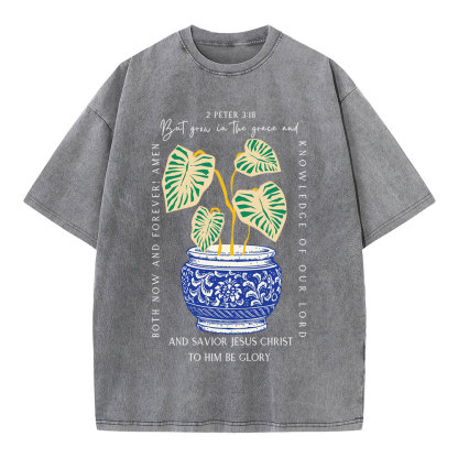 Grow In The Grace Christian Washed T-Shirt