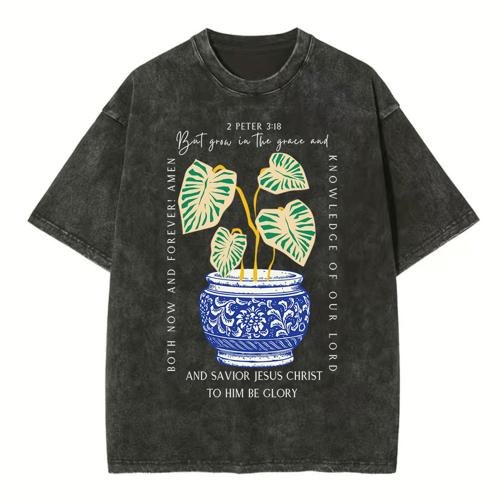 Grow In The Grace Christian Washed T-Shirt