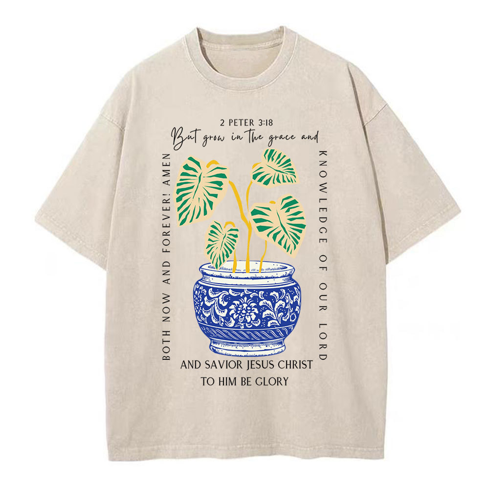 Grow In The Grace Christian Washed T-Shirt