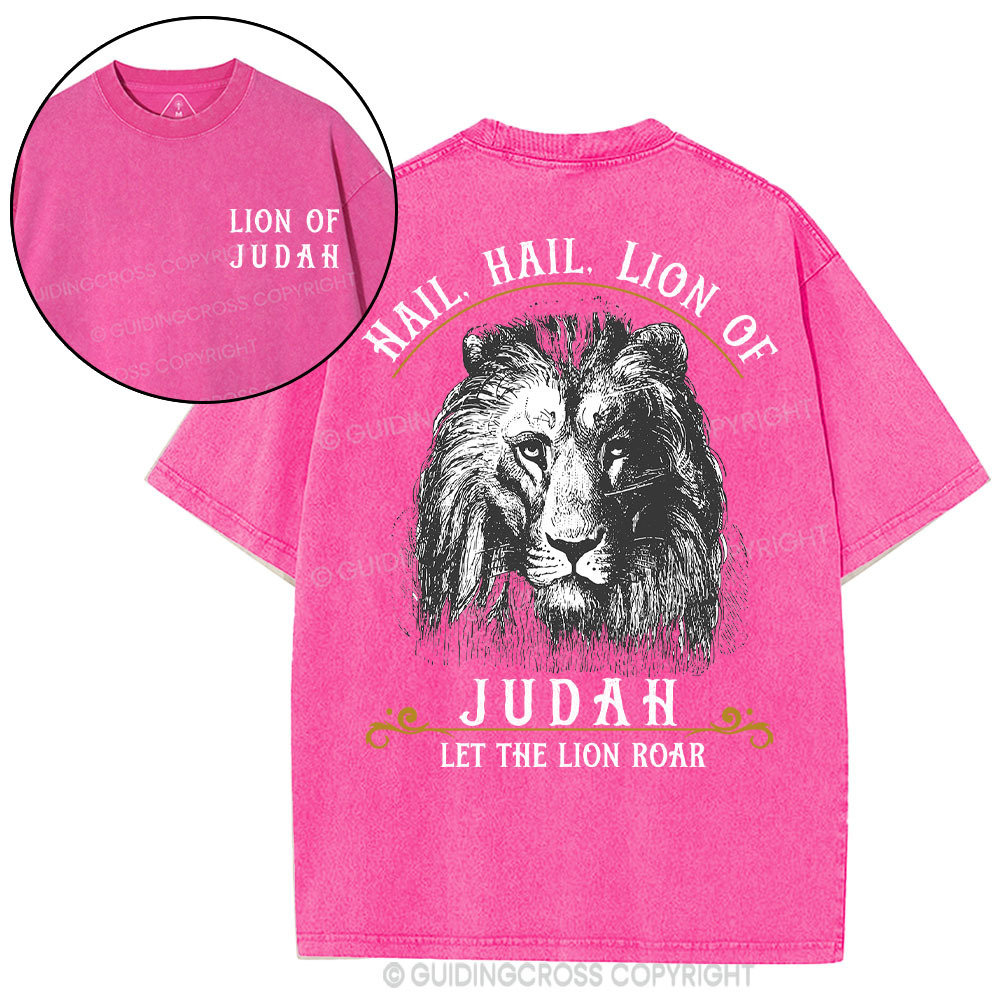 Hail Hail Lion Of Judah Christian Washed T-Shirt