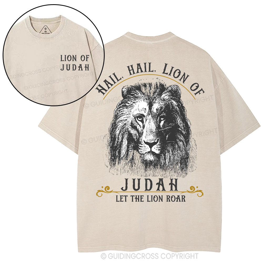 Hail Hail Lion Of Judah Christian Washed T-Shirt