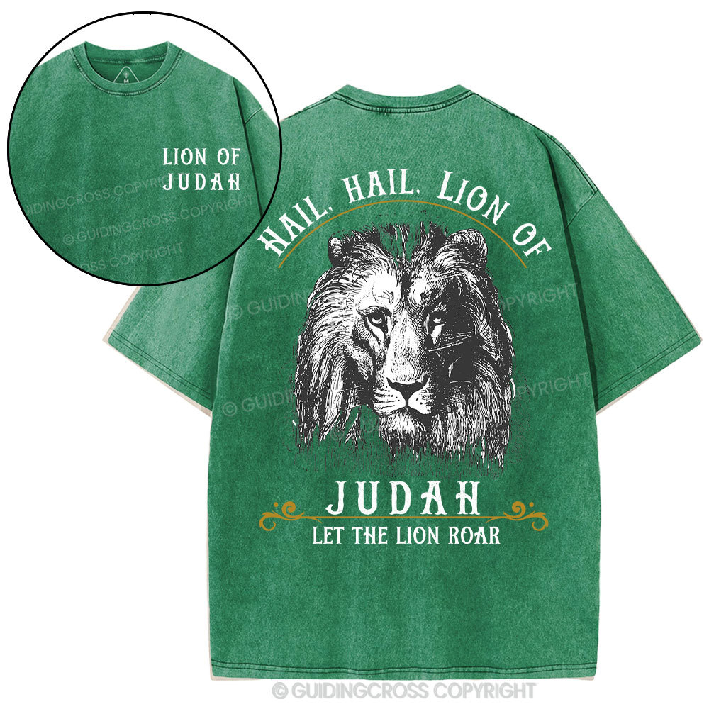 Hail Hail Lion Of Judah Christian Washed T-Shirt