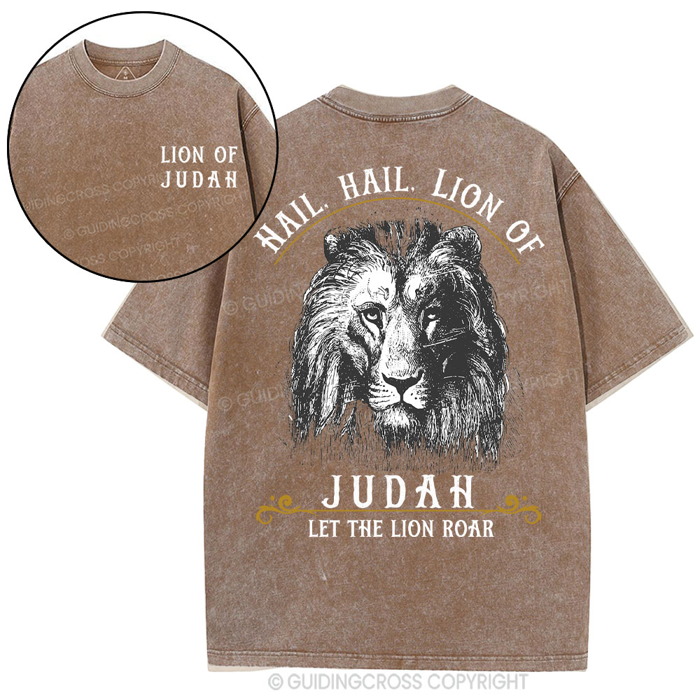 Hail Hail Lion Of Judah Christian Washed T-Shirt