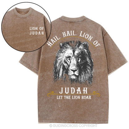 Hail Hail Lion Of Judah Christian Washed T-Shirt