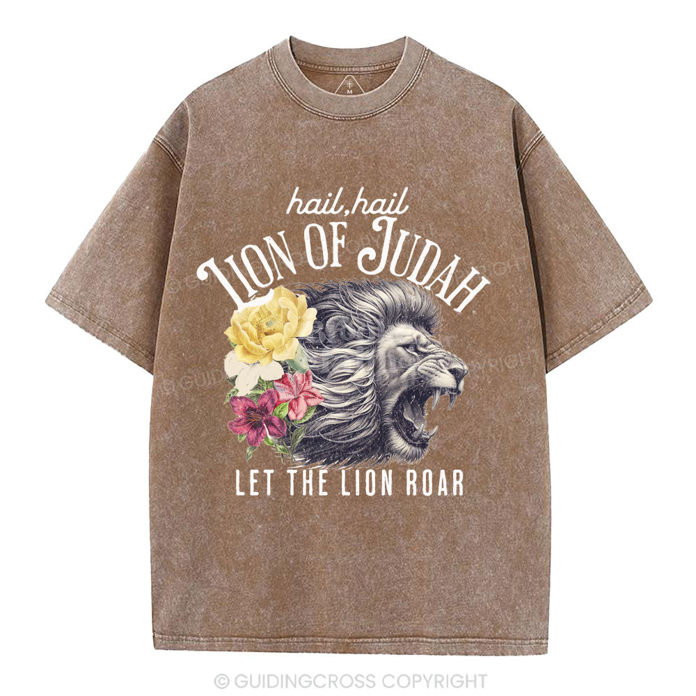 Hail Hail Lion Of Judah Christian Washed T-Shirt
