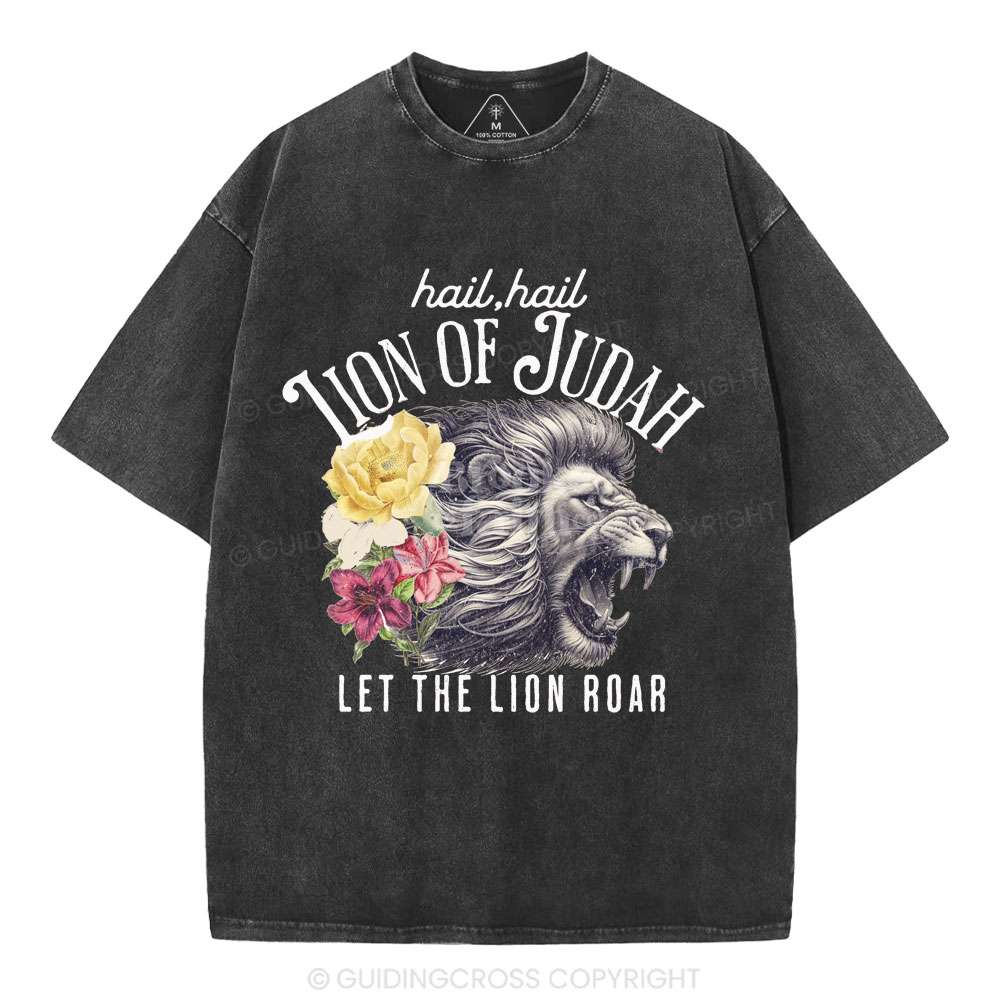 Hail Hail Lion Of Judah Christian Washed T-Shirt