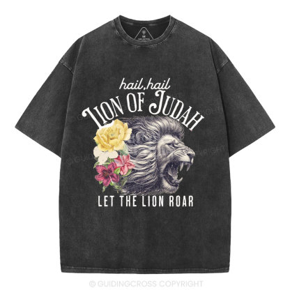 Hail Hail Lion Of Judah Christian Washed T-Shirt