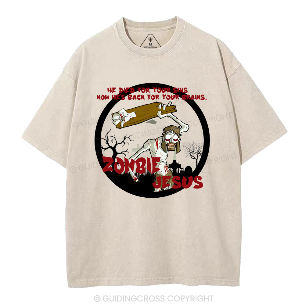 He Died For Your sins Christian Washed T-Shirt