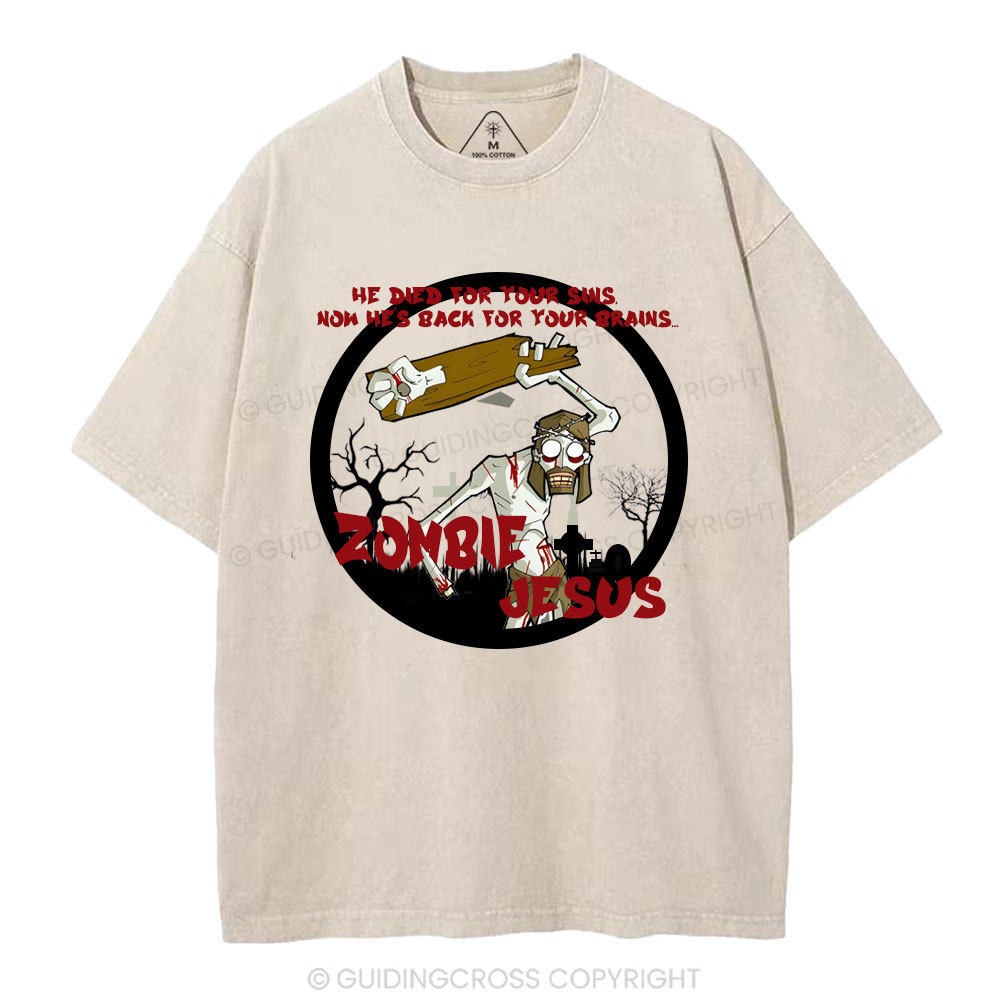 He Died For Your sins Christian Washed T-Shirt