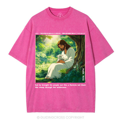 He Led Them Like Sheep Christian Washed T-Shirt