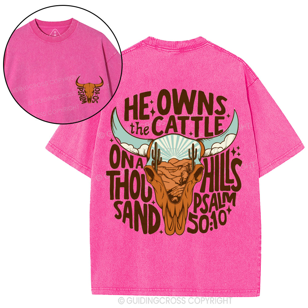 He Owns The Cattle Christian Washed T-Shirt
