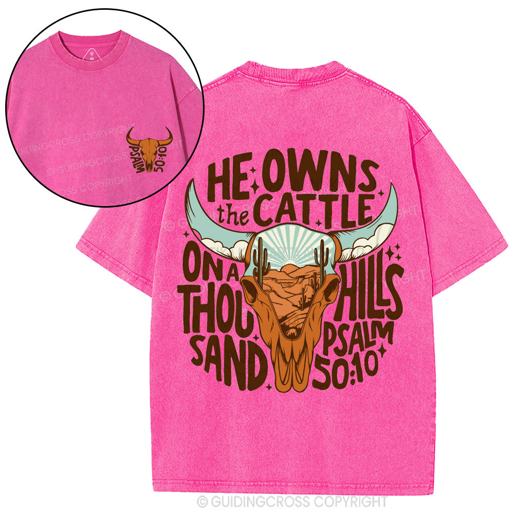 He Owns The Cattle Christian Washed T-Shirt
