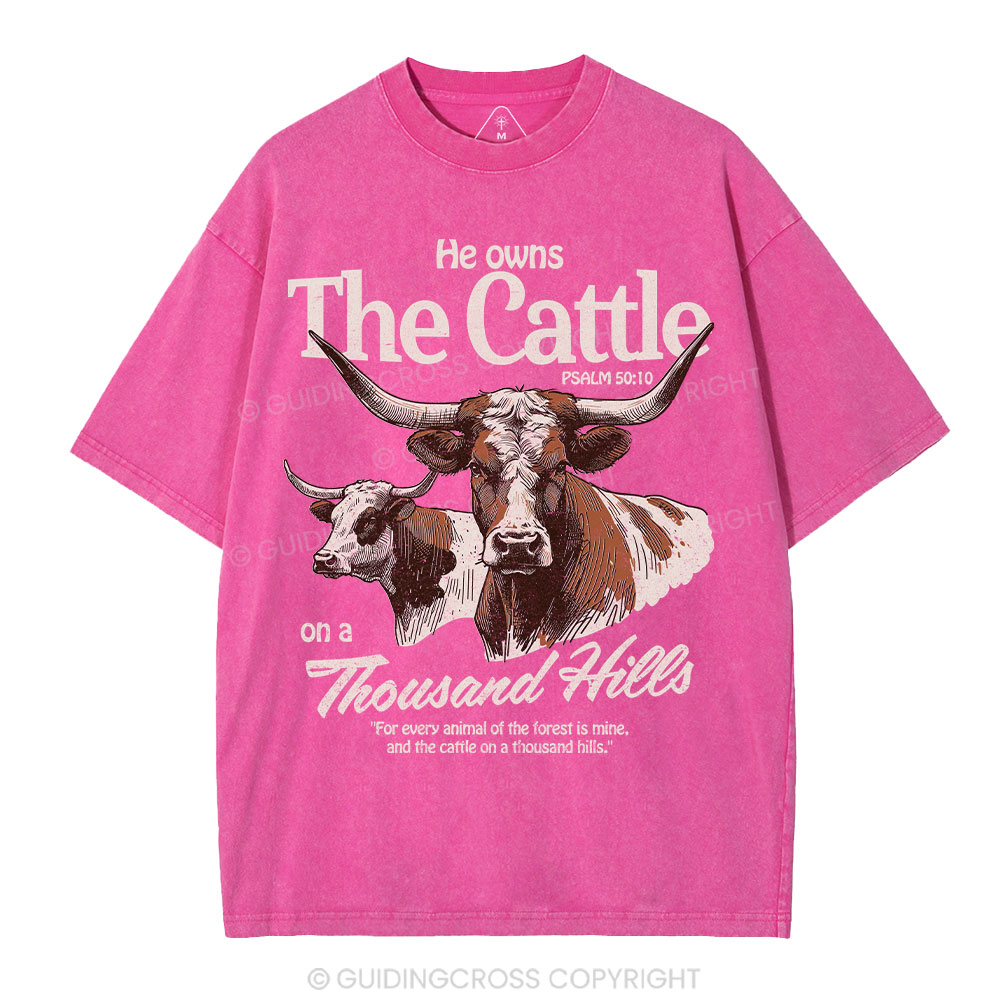 He Owns The Cattle On A Thousand Hills Christian Washed T-Shirt