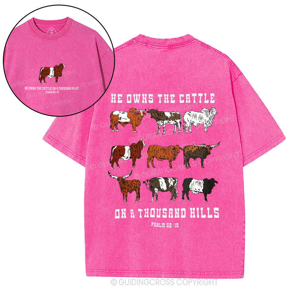 He Owns The Cattle On A Thousand Hills Christian Washed T-Shirt