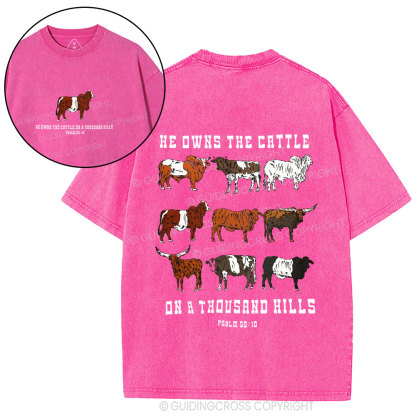 He Owns The Cattle On A Thousand Hills Christian Washed T-Shirt