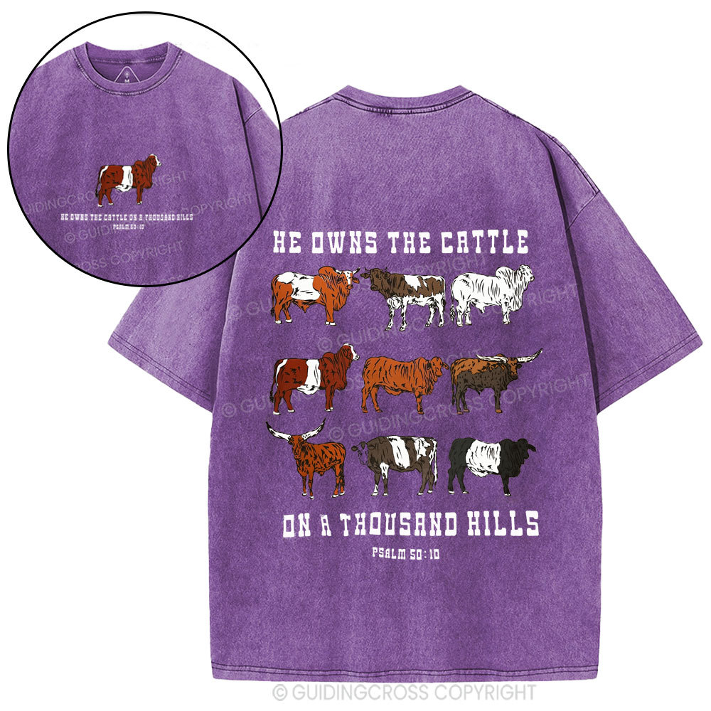 He Owns The Cattle On A Thousand Hills Christian Washed T-Shirt