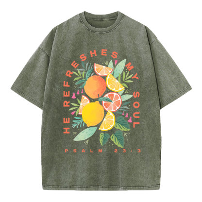 He Refreshes My Soul Fruit Christian Washed T-Shirt