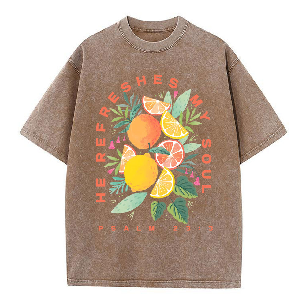 He Refreshes My Soul Fruit Christian Washed T-Shirt