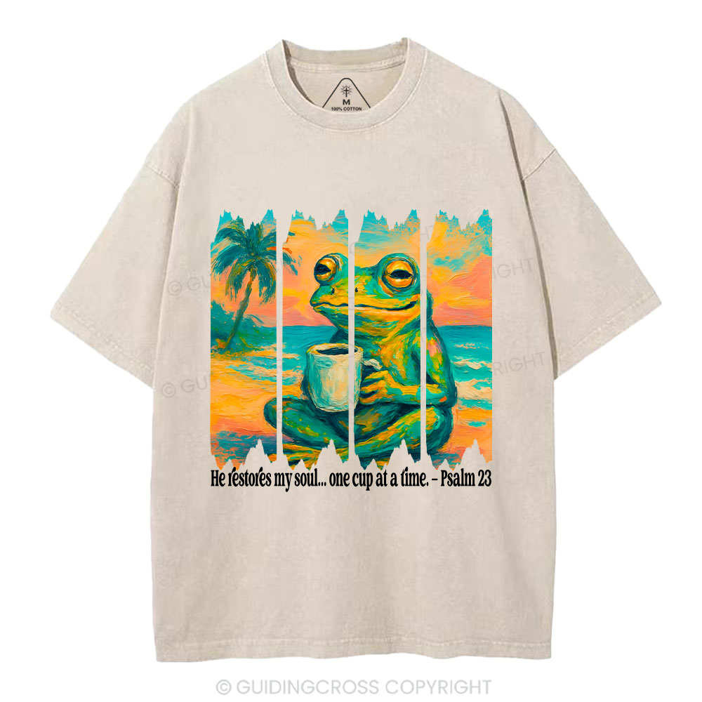 He Restore My Soul Christian Washed T-Shirt