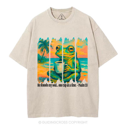 He Restore My Soul Christian Washed T-Shirt