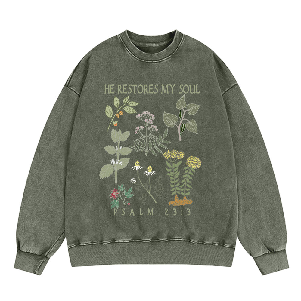 He Restores My Soul Christian Washed Sweatshirt