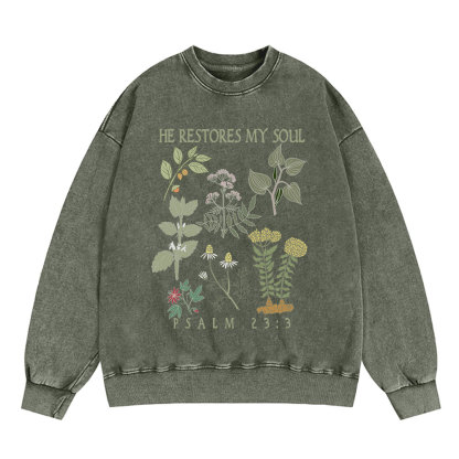 He Restores My Soul Christian Washed Sweatshirt