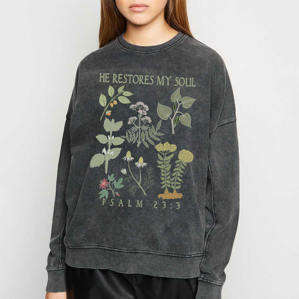 He Restores My Soul Christian Washed Sweatshirt