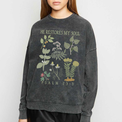 He Restores My Soul Christian Washed Sweatshirt
