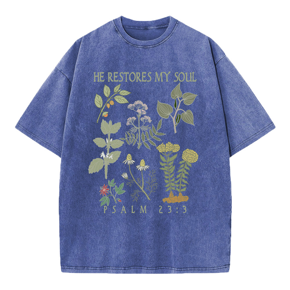 He Restores My Soul Christian Washed T-Shirt