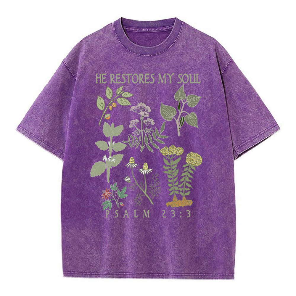 He Restores My Soul Christian Washed T-Shirt