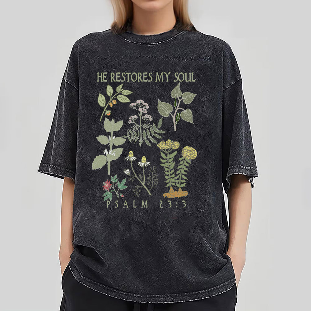 He Restores My Soul Christian Washed T-Shirt