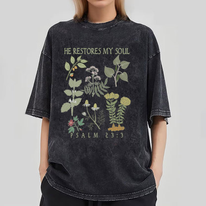 He Restores My Soul Christian Washed T-Shirt