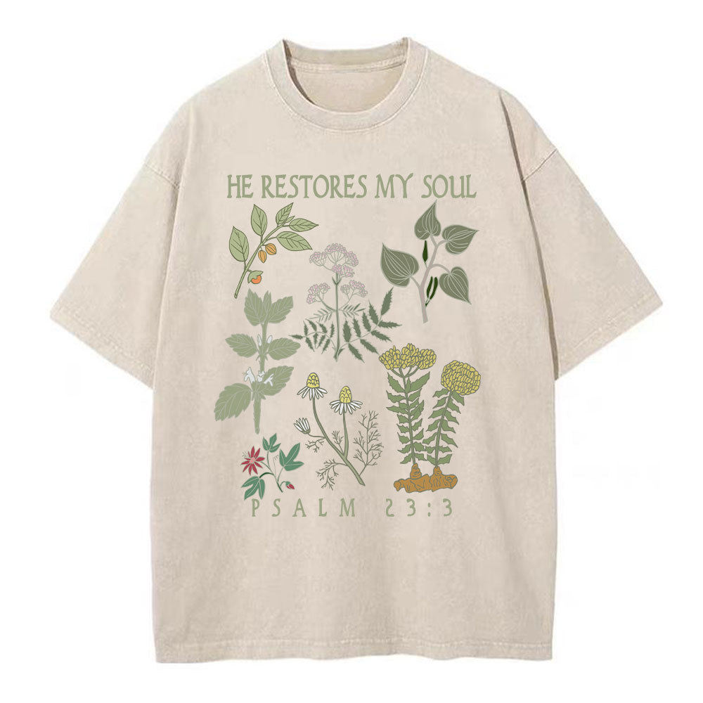 He Restores My Soul Christian Washed T-Shirt
