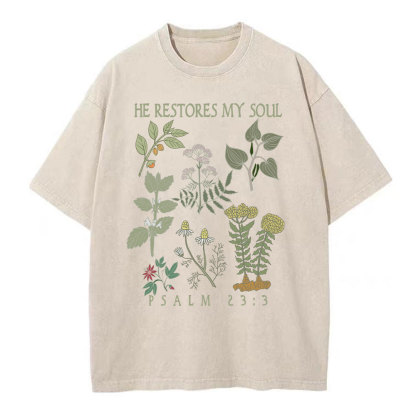 He Restores My Soul Christian Washed T-Shirt