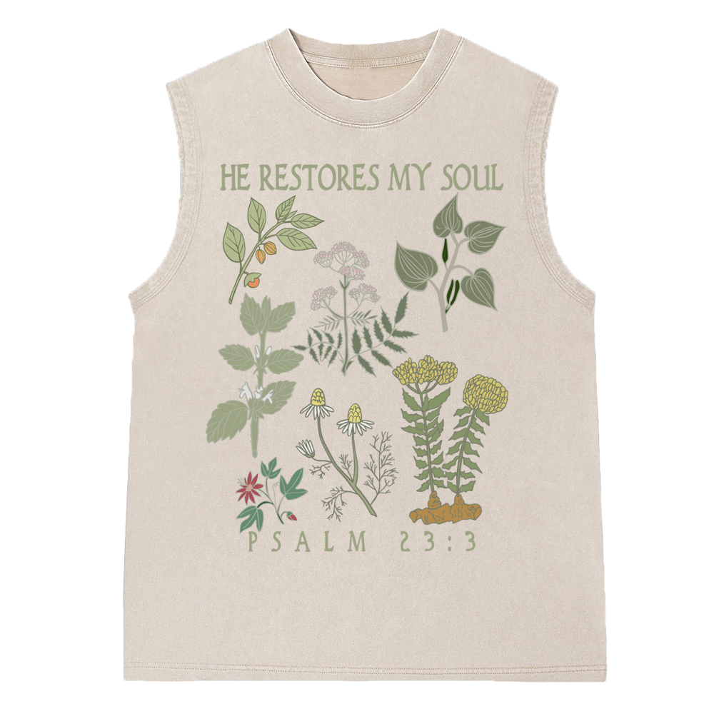 He Restores My Soul Christian Washed sleeveless Tee