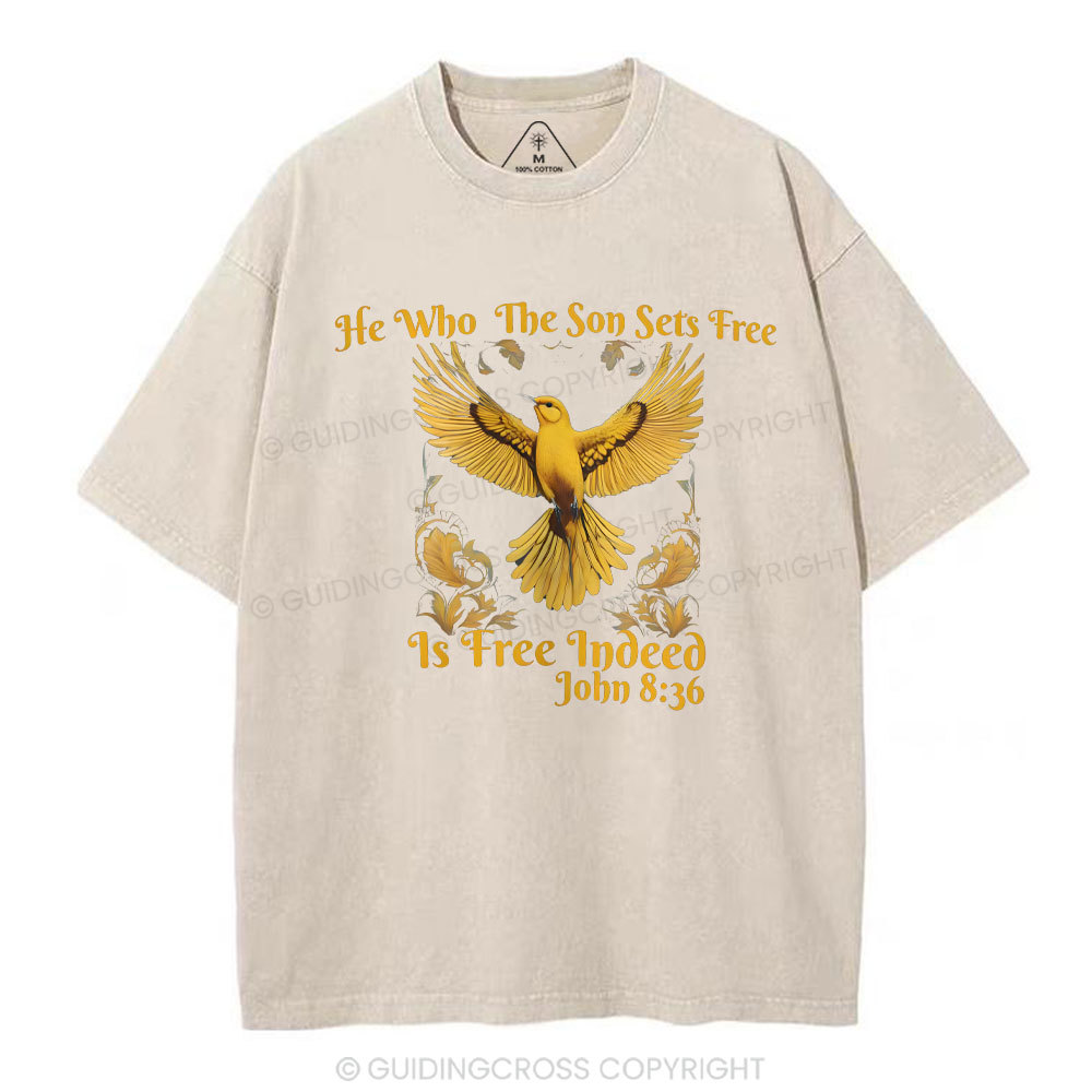 He Who THe Son Sets Free Christian Washed T-Shirt