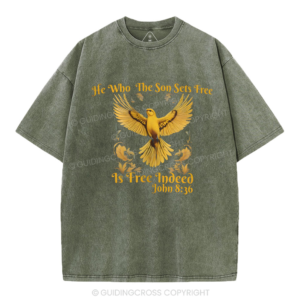 He Who THe Son Sets Free Christian Washed T-Shirt
