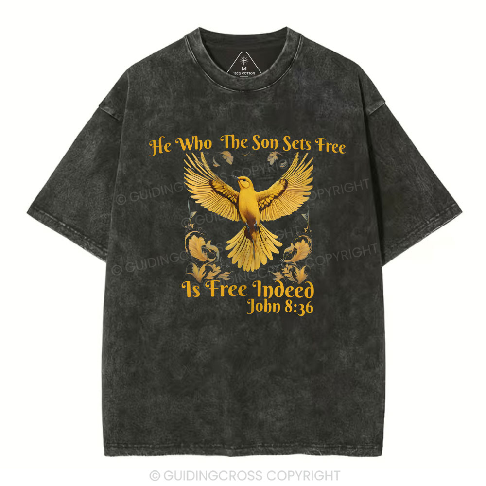 He Who THe Son Sets Free Christian Washed T-Shirt