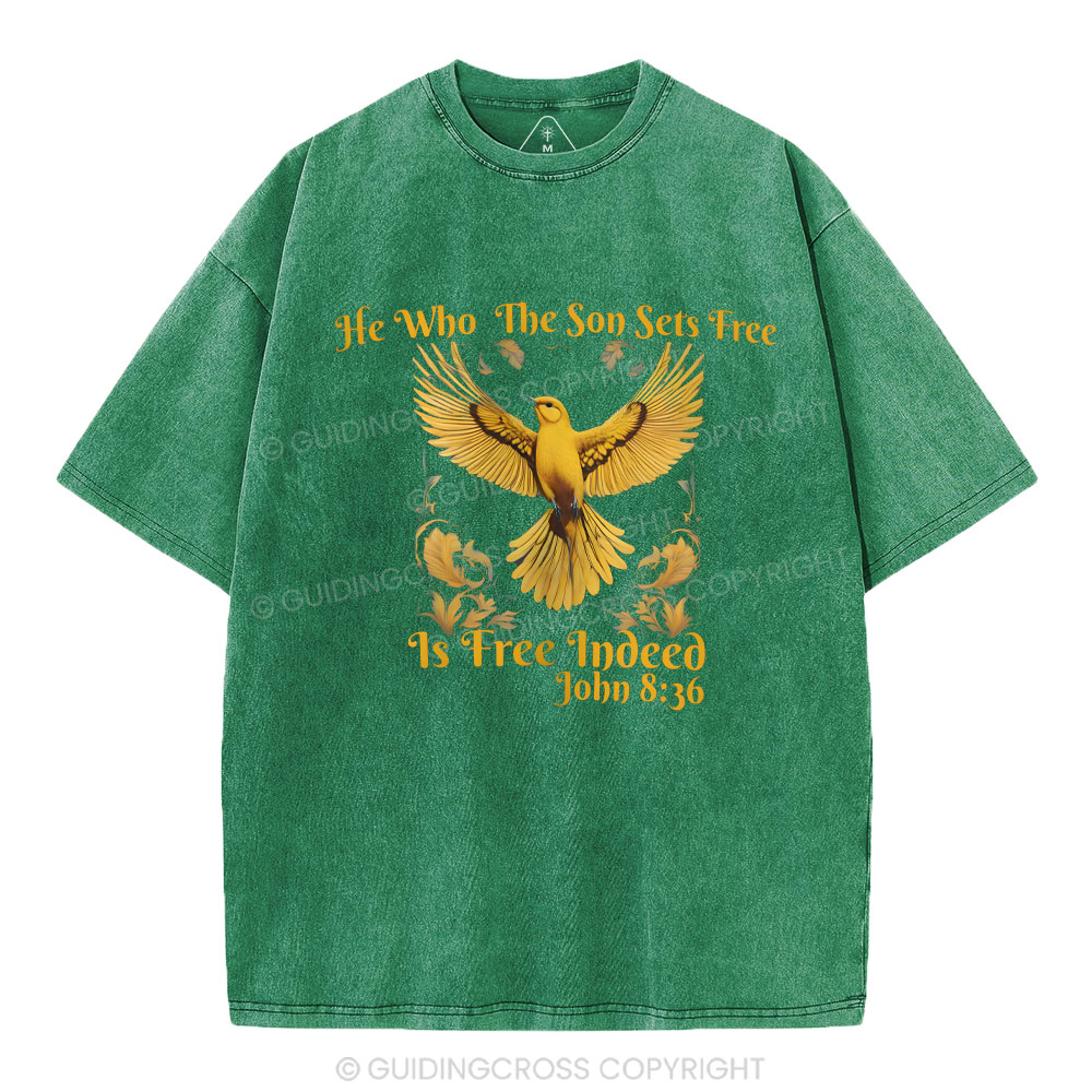 He Who THe Son Sets Free Christian Washed T-Shirt