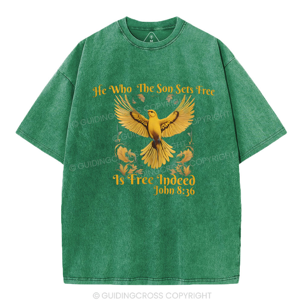 He Who THe Son Sets Free Christian Washed T-Shirt