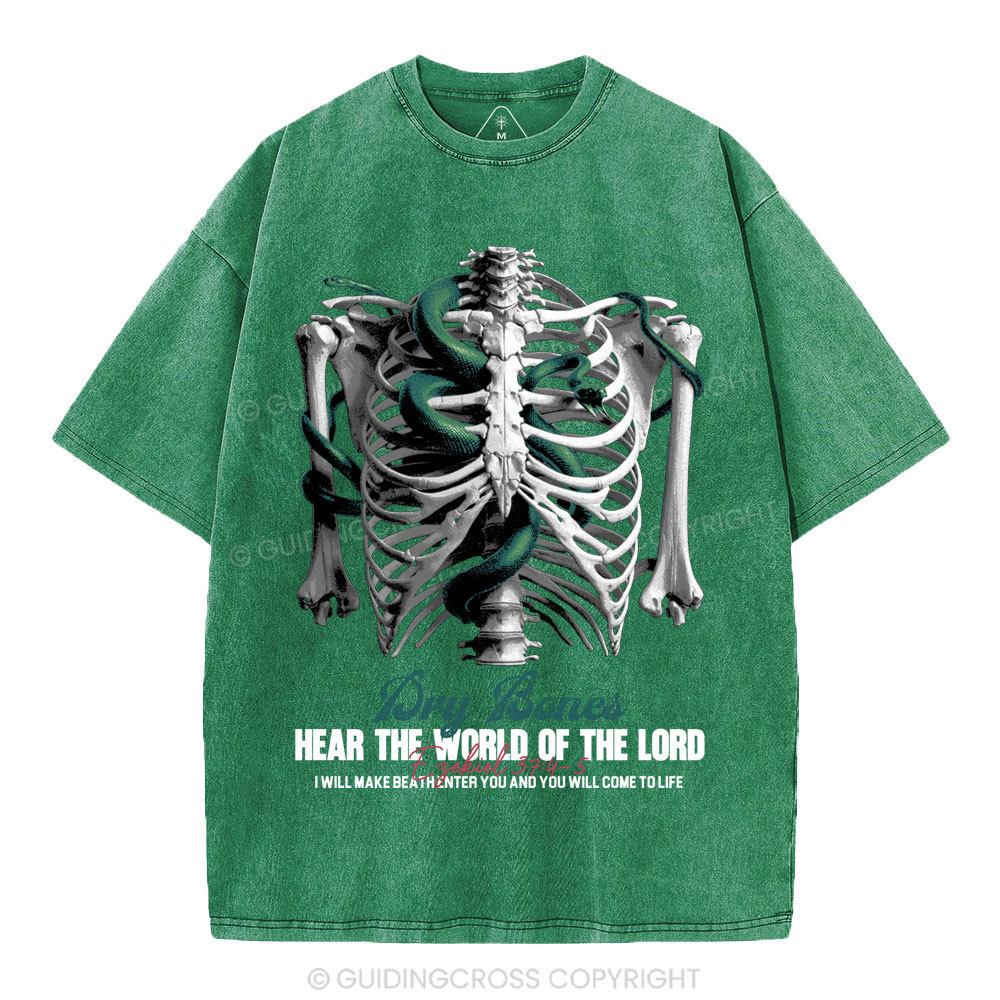 Hear The World Of The Lord Christian Washed T-Shirt