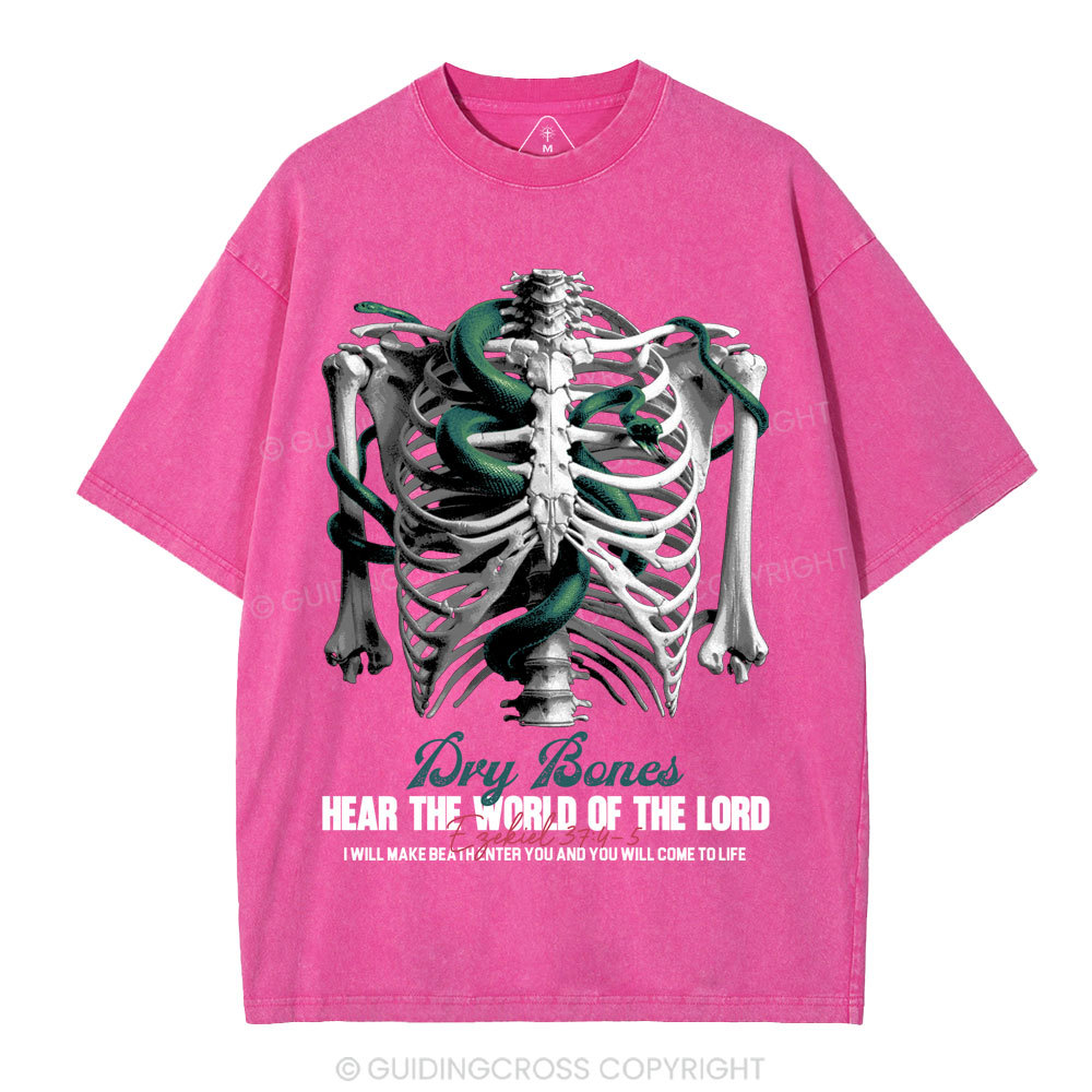 Hear The World Of The Lord Christian Washed T-Shirt