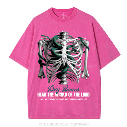 Hear The World Of The Lord Christian Washed T-Shirt