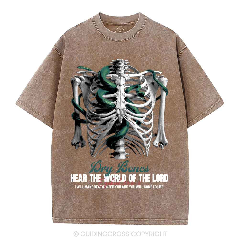 Hear The World Of The Lord Christian Washed T-Shirt