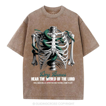 Hear The World Of The Lord Christian Washed T-Shirt
