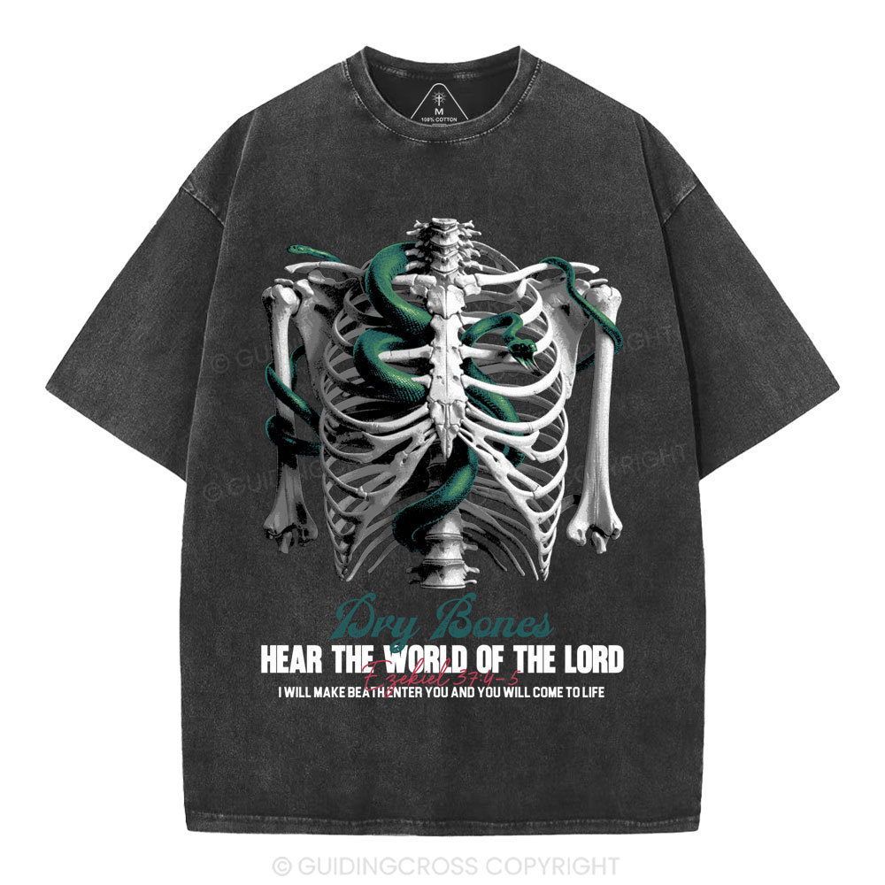 Hear The World Of The Lord Christian Washed T-Shirt