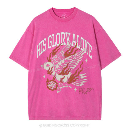 His Glory Alone Christian Washed T-Shirt