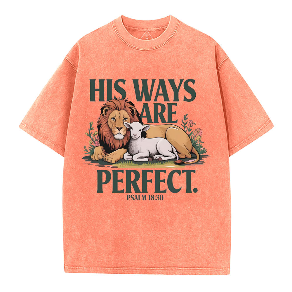 His Ways Are Perfect Chrsitian Washed T-Shirt