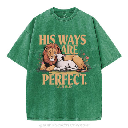 His Ways Are Perfect Chrsitian Washed T-Shirt