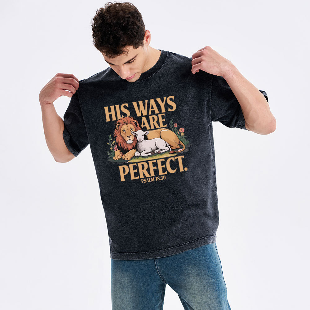 His Ways Are Perfect Chrsitian Washed T-Shirt